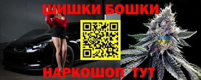 Альфа ПВП Обь