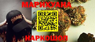 Альфа ПВП Обь