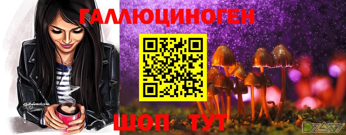 Ступино  Псилоцибиновые грибы Psilocybine cubensis  Вход с VPN 