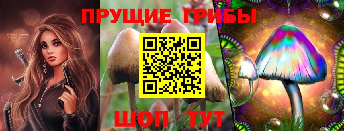 Галлюциногенные грибы ЛСД Ступино